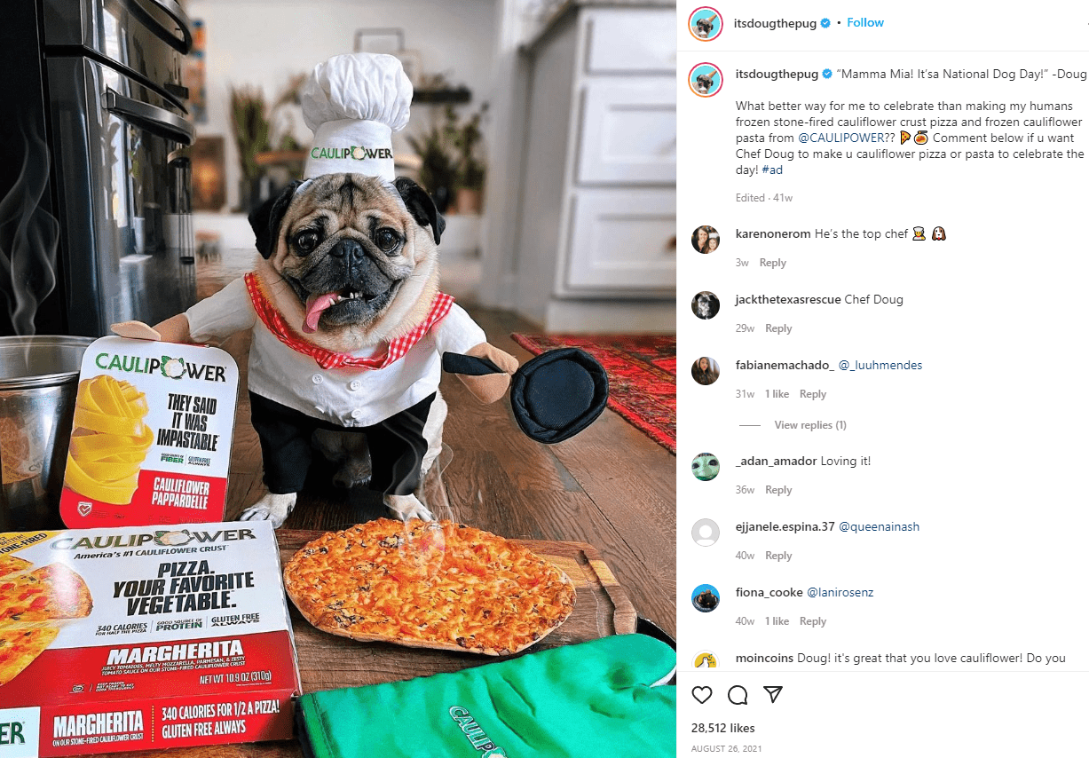 Pet influencers: conheça o mercado que conquistou a internet