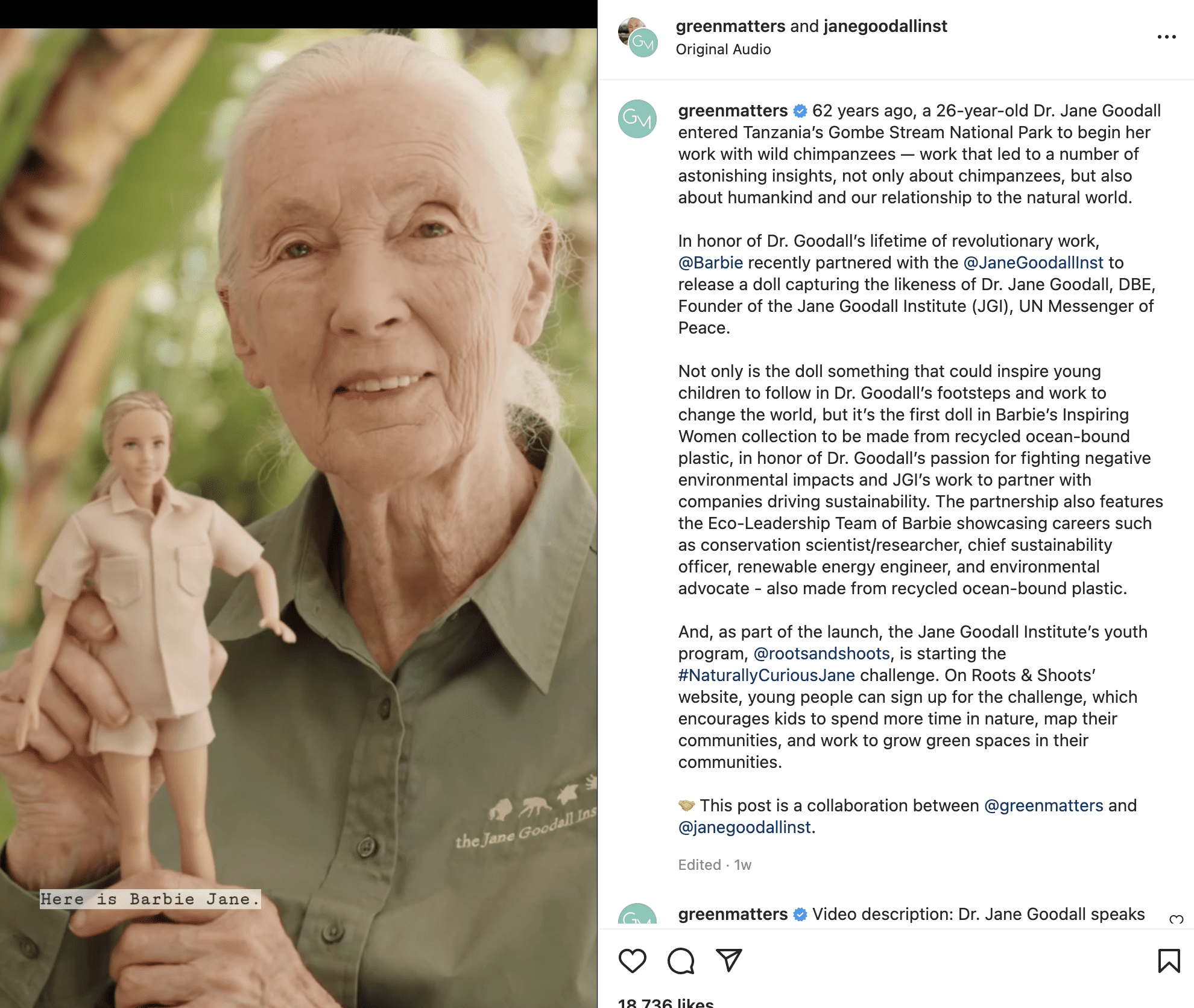 Jane Goodall influencer in science world