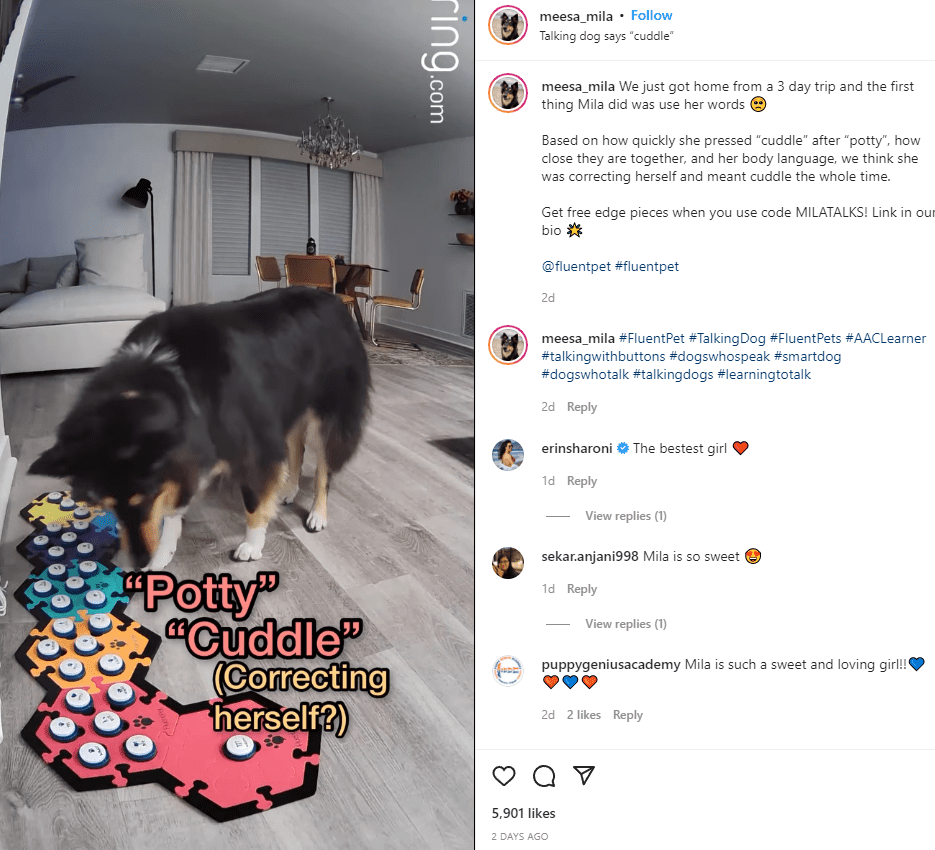 Mila The Talking Dog pet influencer