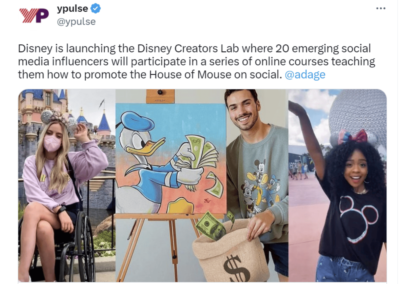 disney influencer 