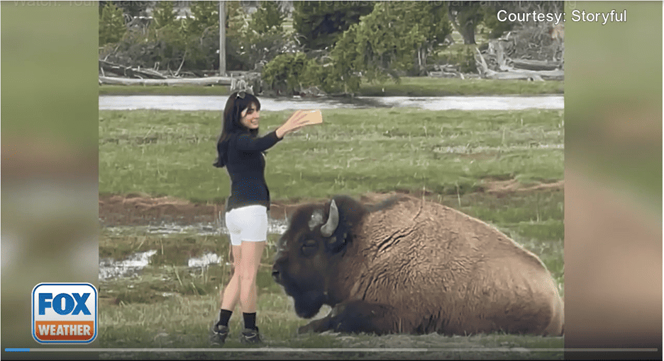 Influencer selfie next to bison