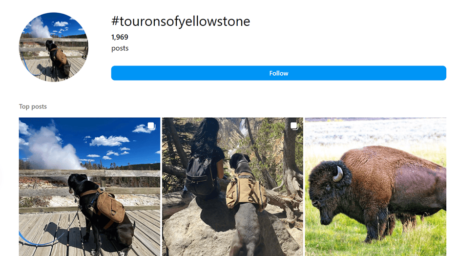 Tours on Yellowstone