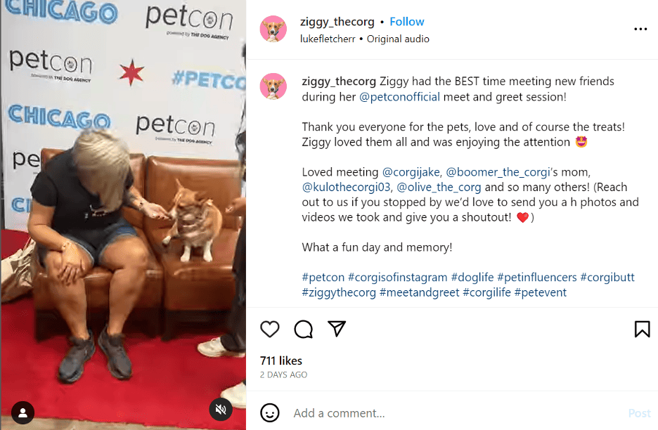 Influencers Take Over Chicago Petcon